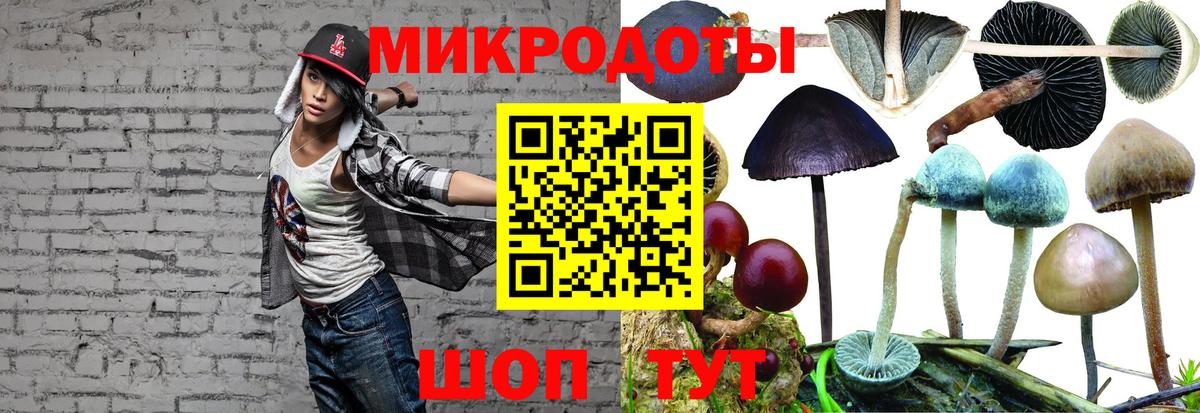 закладка  Вход с VPN  Галлюциногенные грибы мухоморы  Верхний Уфалей  Галлюциногенные грибы Psilocybe 