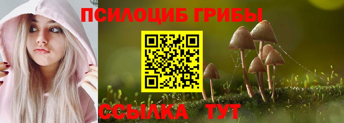 Псилоцибиновые грибы Cubensis Верхний Уфалей
